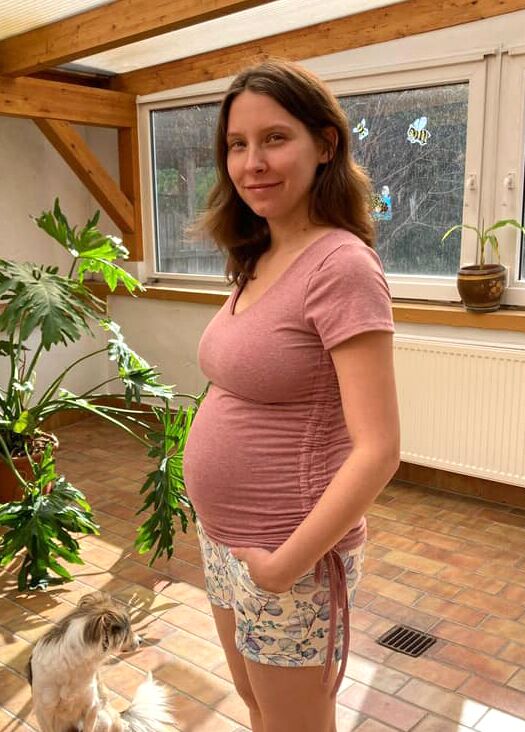 ebook Schnittmuster Umstandsshirt schwangerschaftsshirt shirt schwangerschaft langarm tshirt